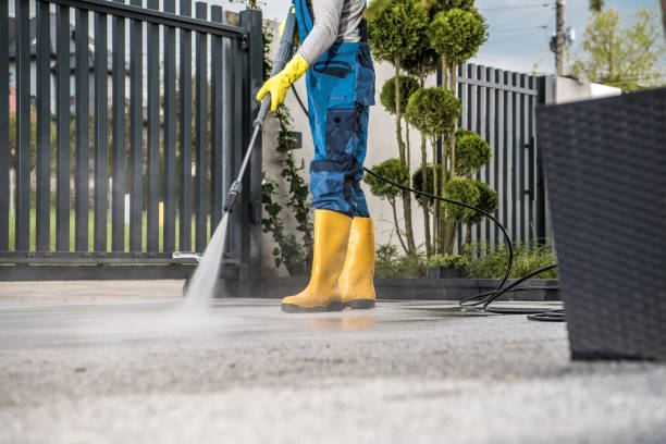 Best Fence Pressure Washing  in Woodsi East, DE