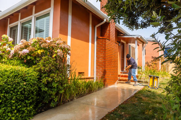 Best Local Pressure Washing Services  in Woodsi East, DE
